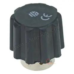 Bouchon de centrale vapeur 1/2 pouce femelle