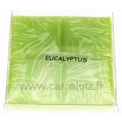 Pastille parfume eucalyptus pour brule parfum